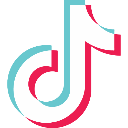 TikTok Logo
